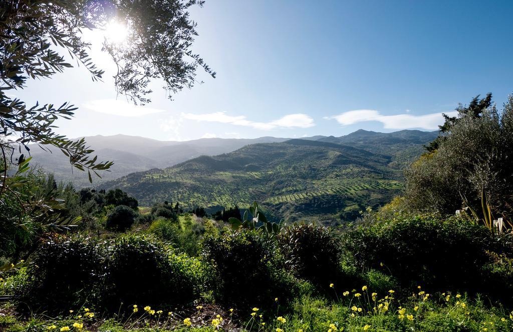 Casa Migliaca Villa Pettineo ภายนอก รูปภาพ