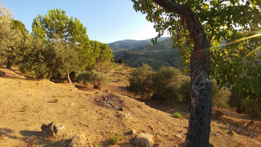 Casa Migliaca Villa Pettineo ภายนอก รูปภาพ