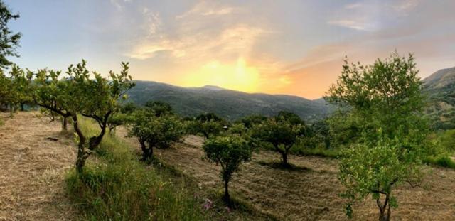 Casa Migliaca Villa Pettineo ภายนอก รูปภาพ